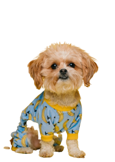 T-Shirt For Dogs