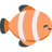 fish image
